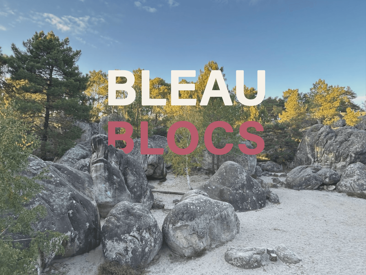 Climbing stay in Fontainebleau forest