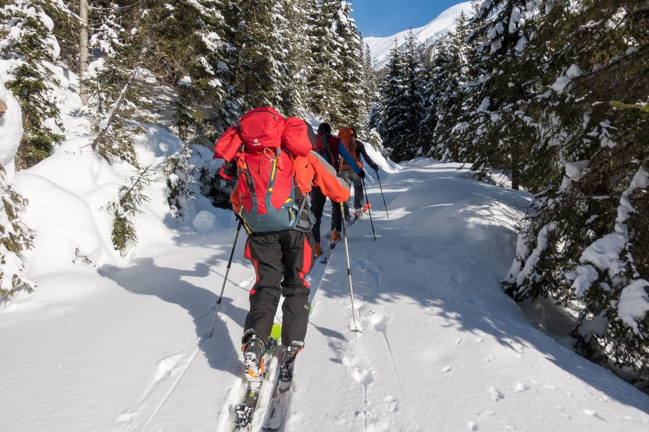 Mountaineering and Ski Touring