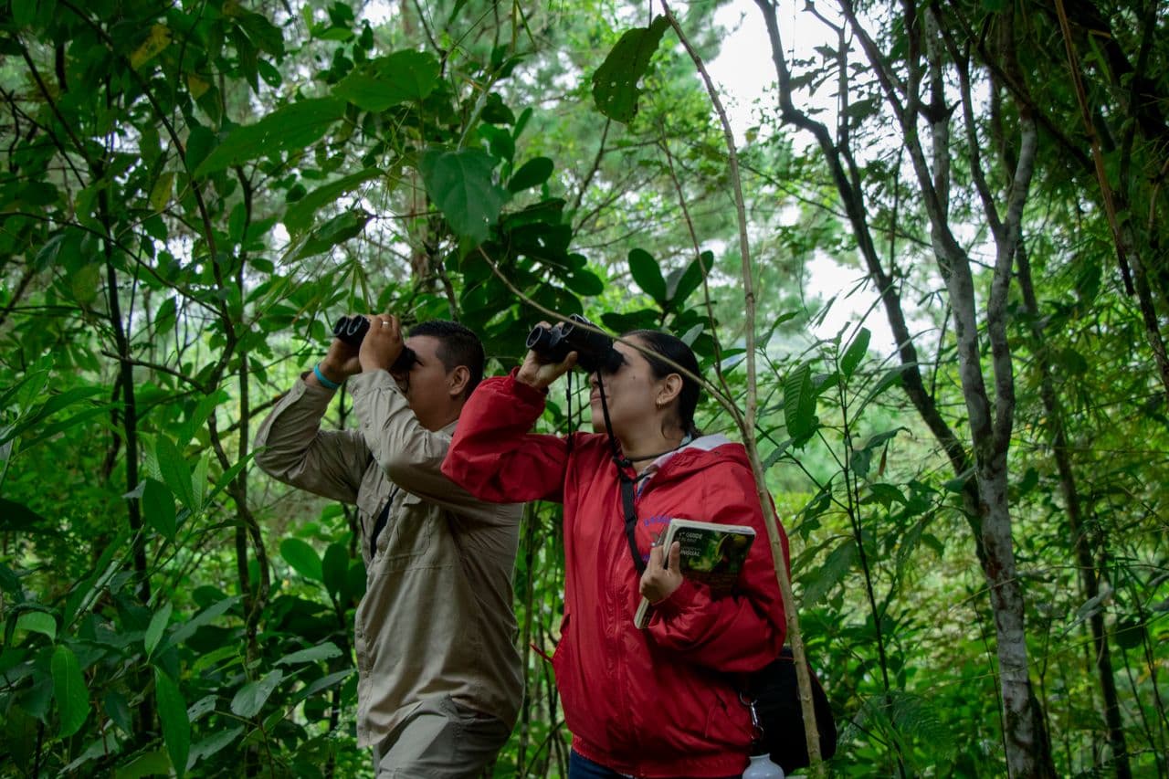 Naturalists