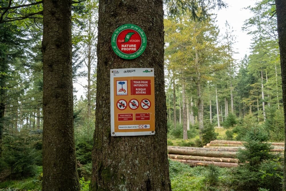 Building a campfire in the wilderness: what the law says
