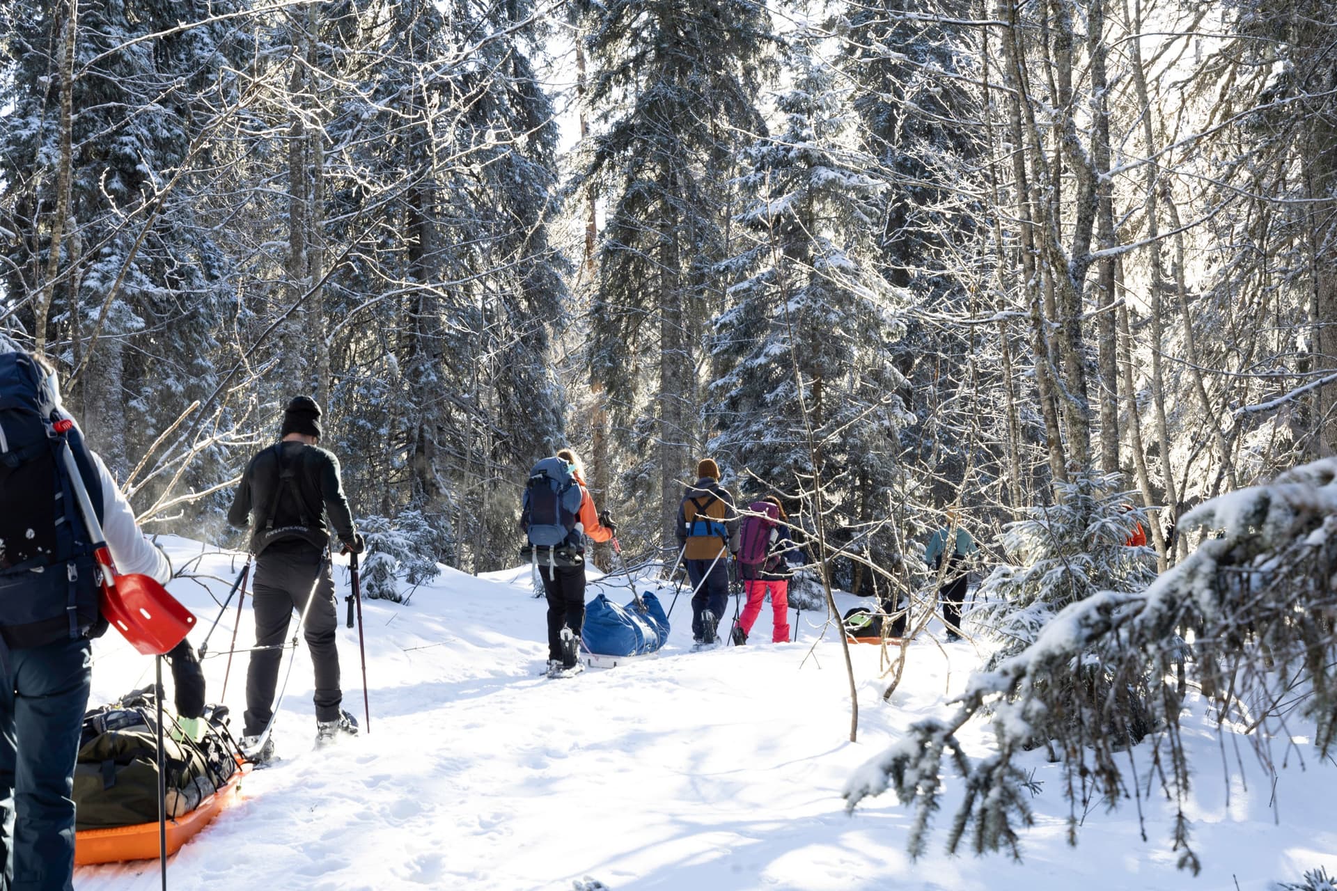 Hiking in the heights of Jura and return to Vallorbe