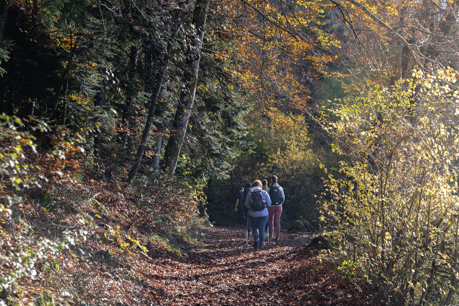 Sunday hike in the Jura