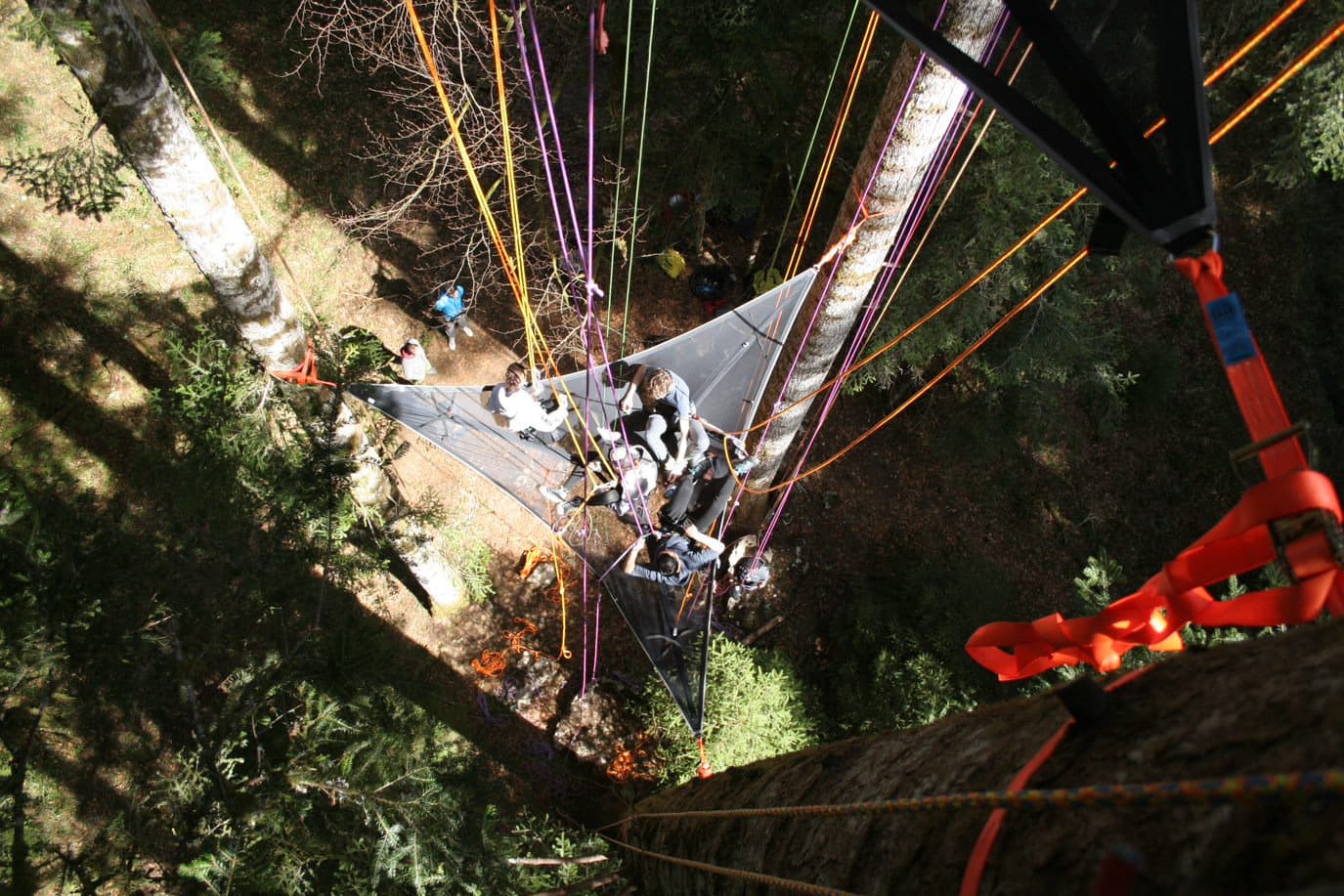 Tree Climbing Initiation
