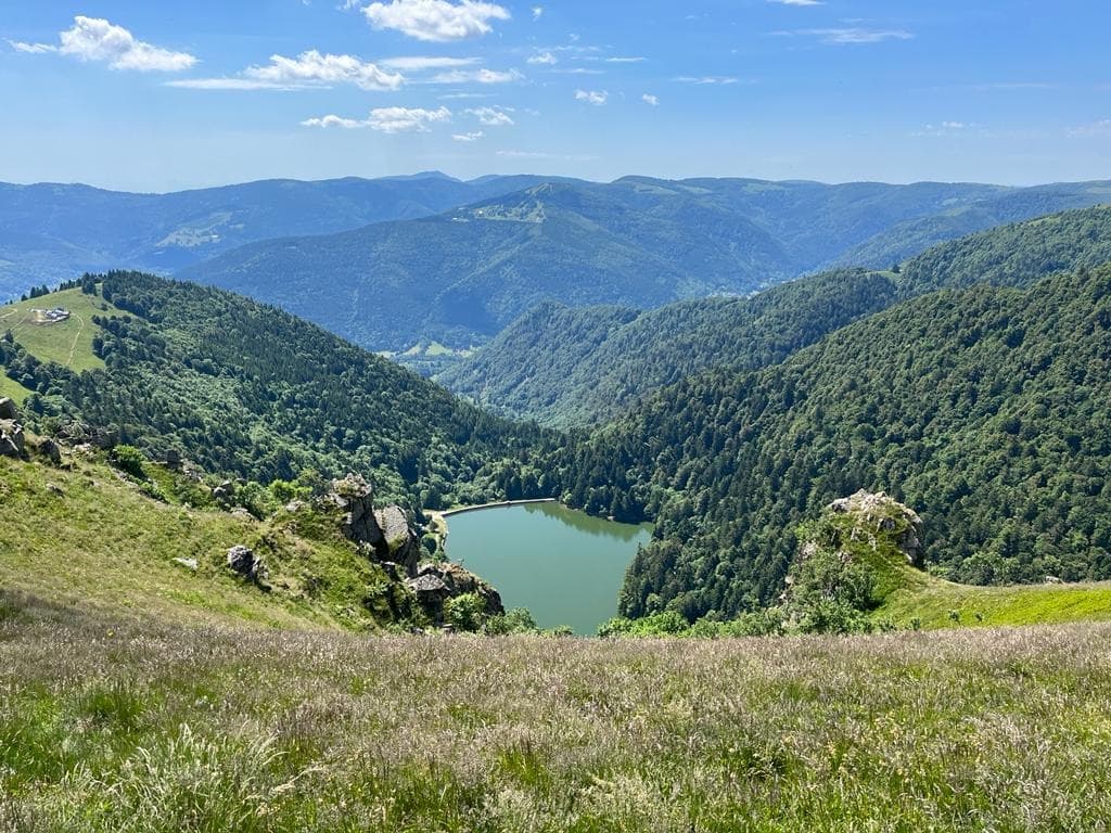 Last hike to the valley and return to Munster or Metzeral
