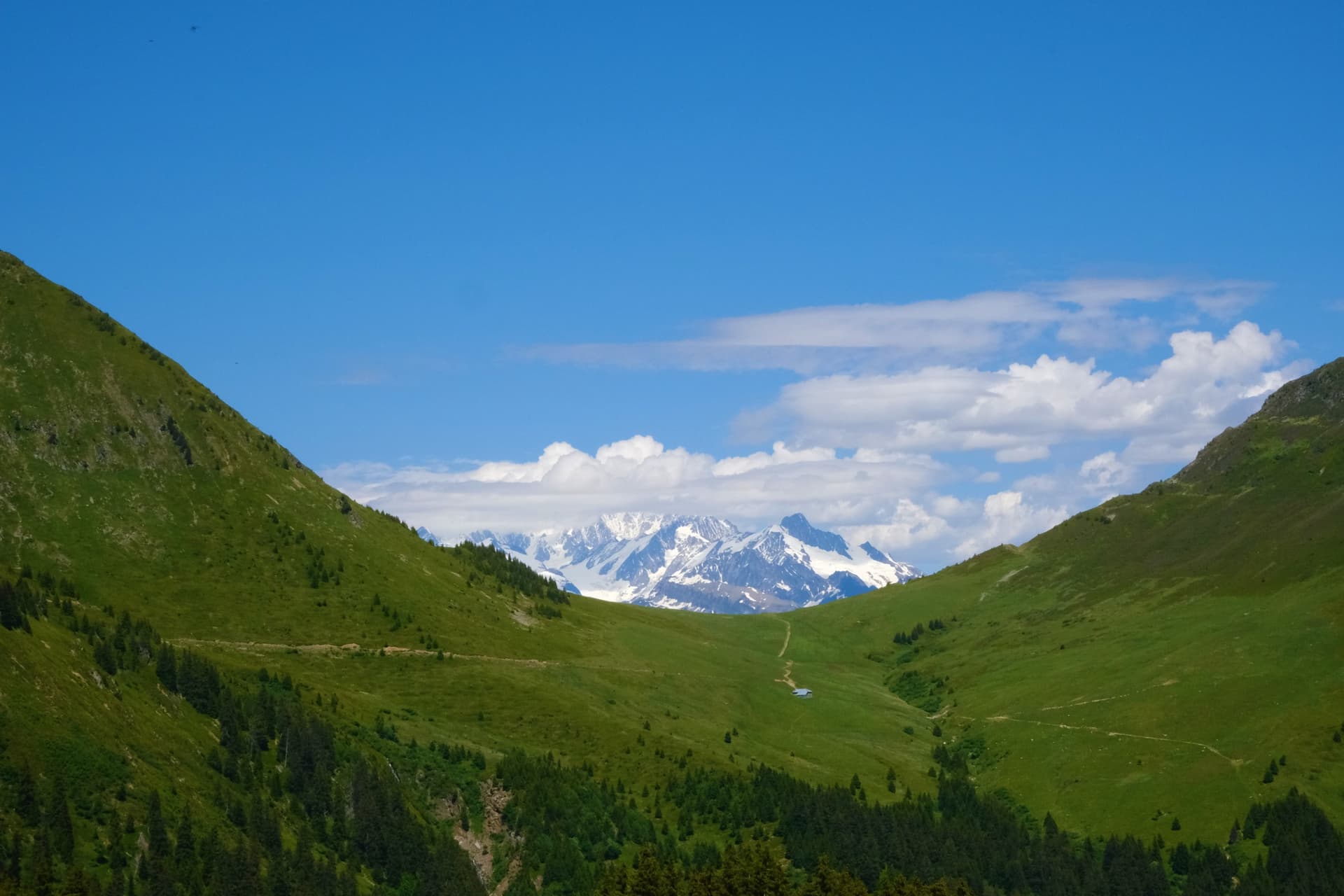 High altitude lakes and alpine meadows