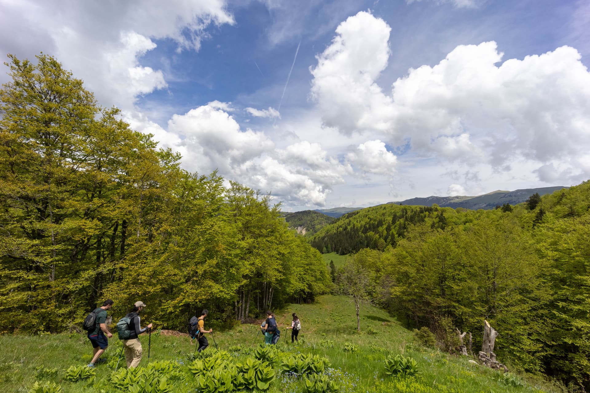 Half-day on the plateau
